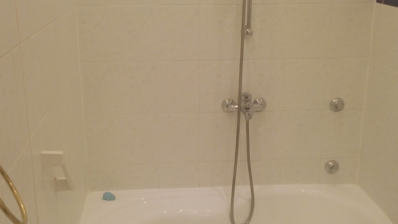 Photo of Bathroom in Pula