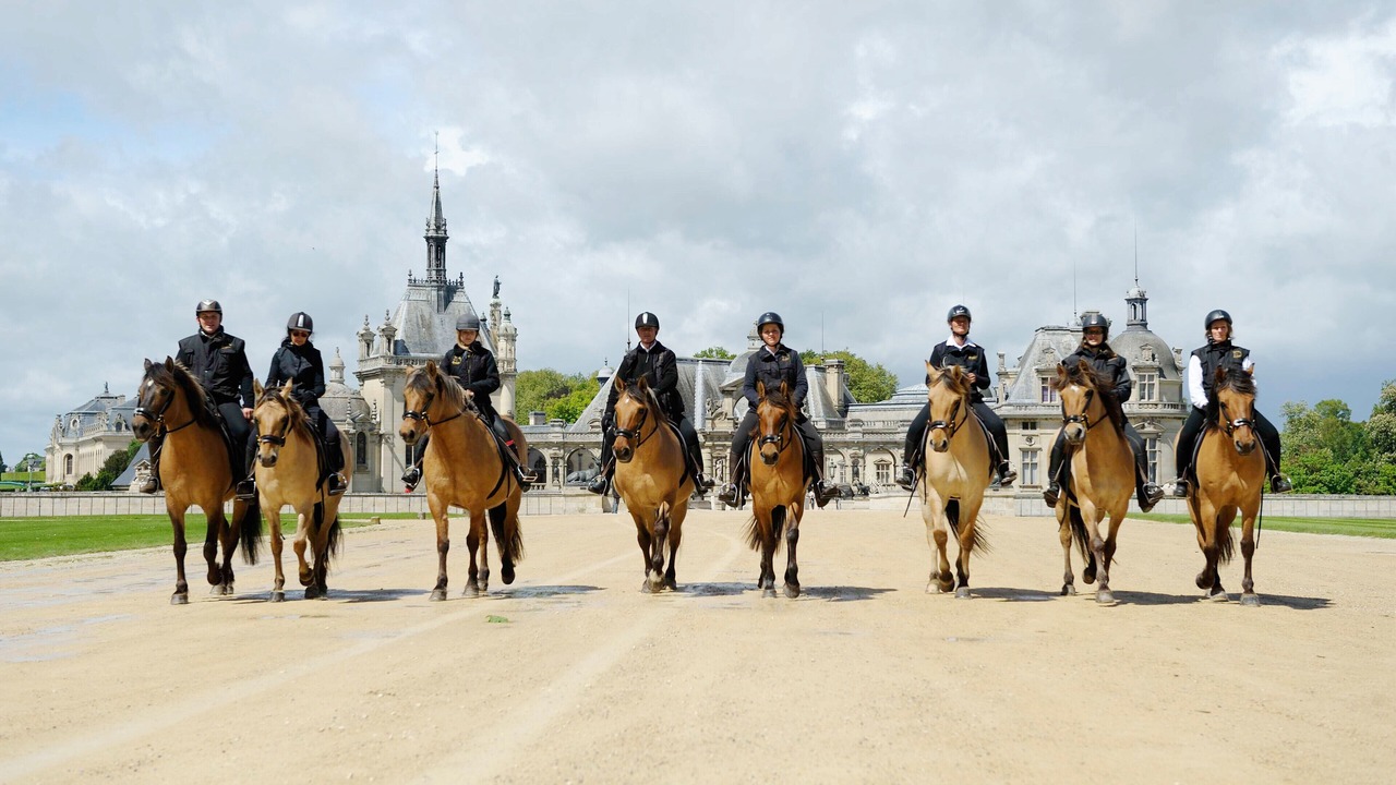 Photo of Others in Chantilly