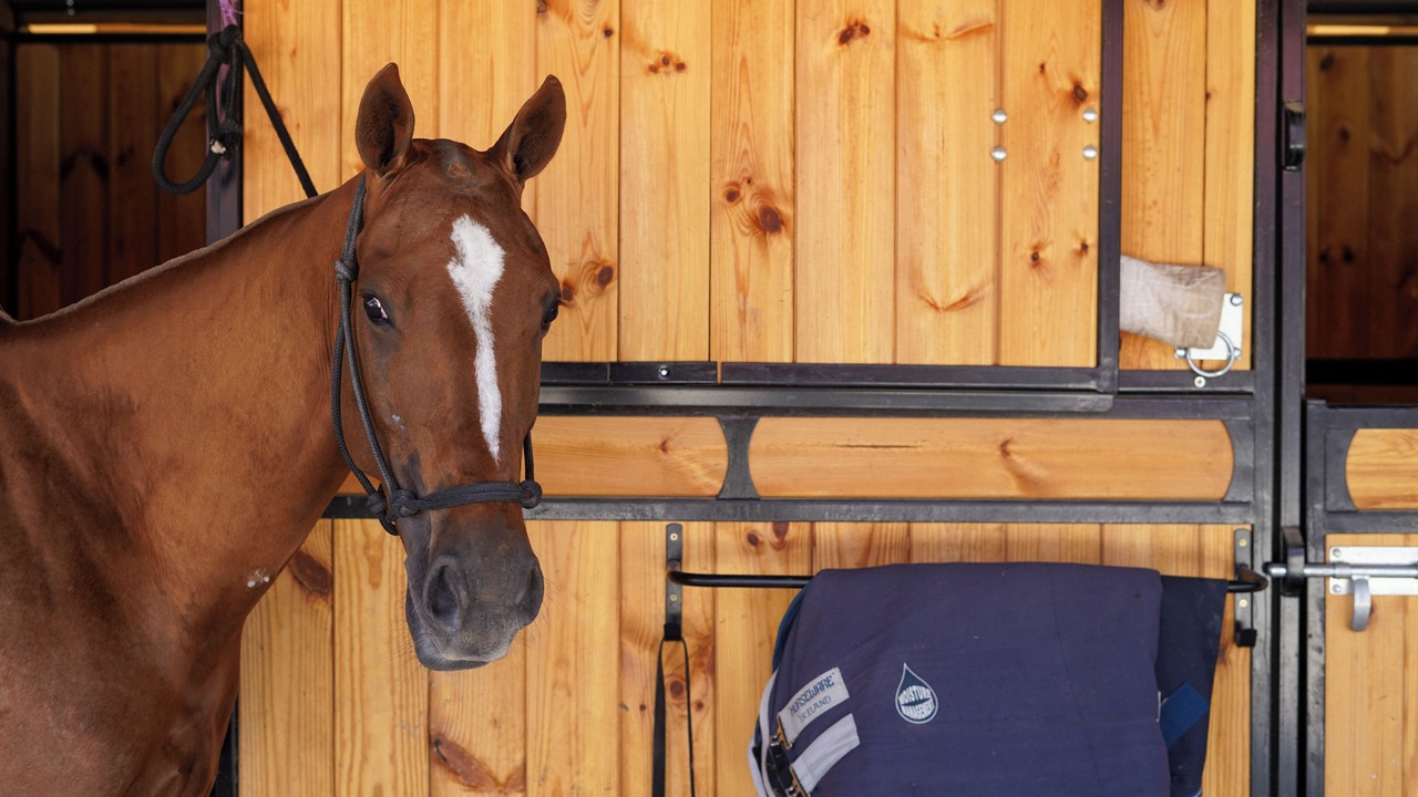 Photo of Others in Chantilly