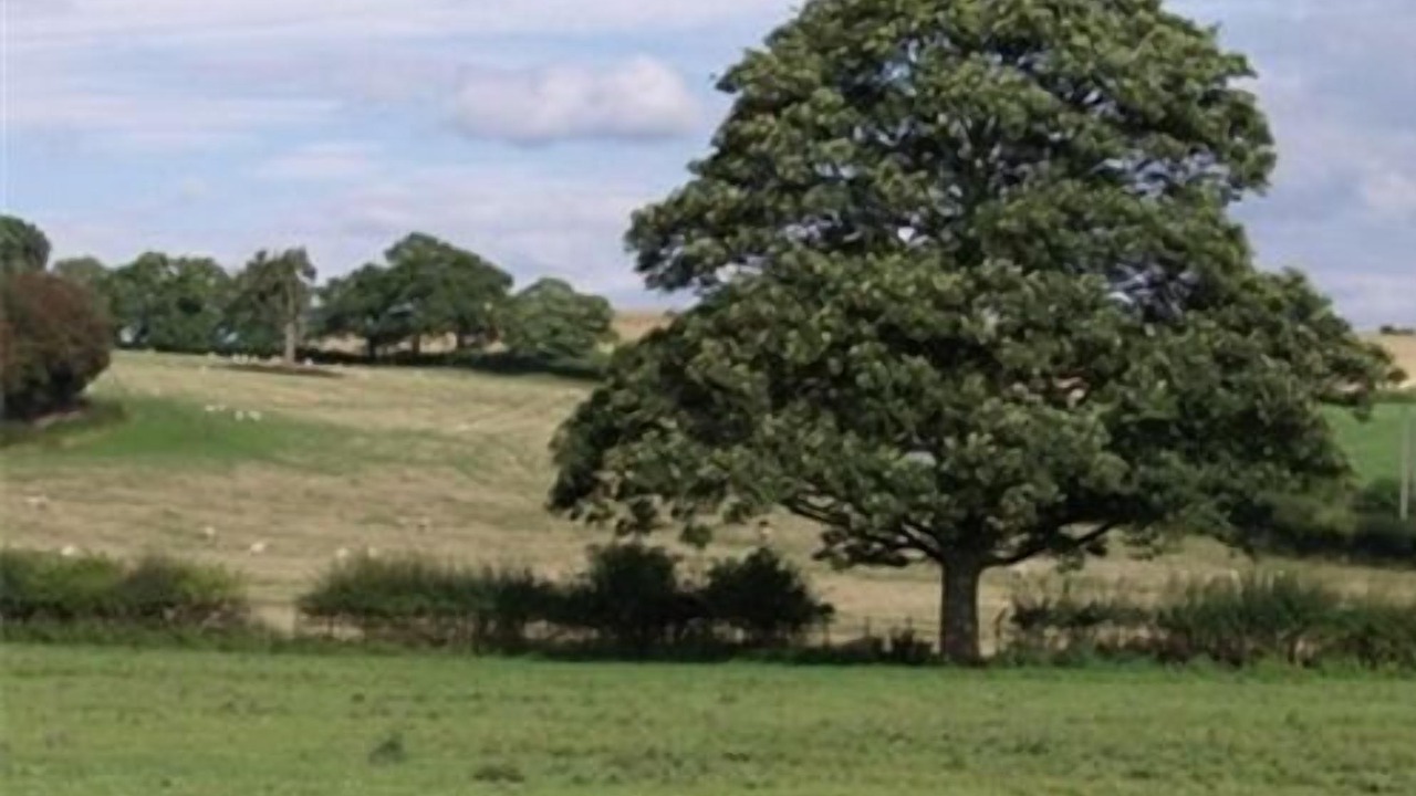 Photo of Outdoor in Denstone