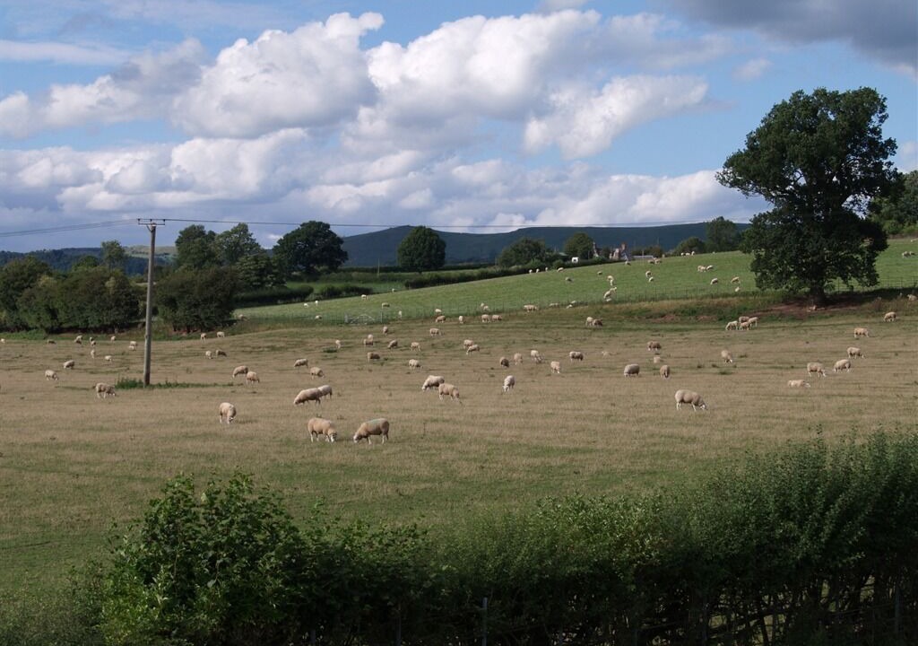 Photo of Outdoor in Denstone