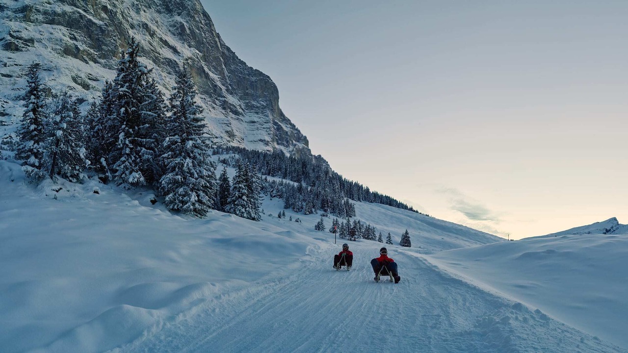 Photo of Others in Wengen