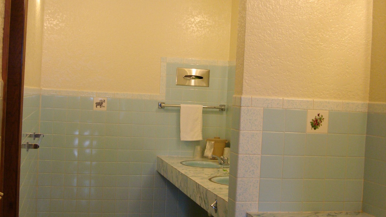 Photo of Bathroom in Nevada