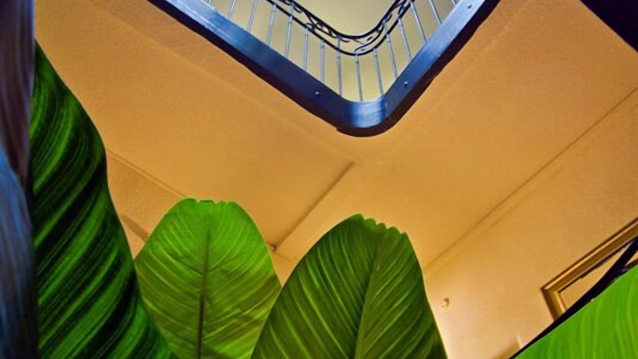 Photo of Others in Ceret