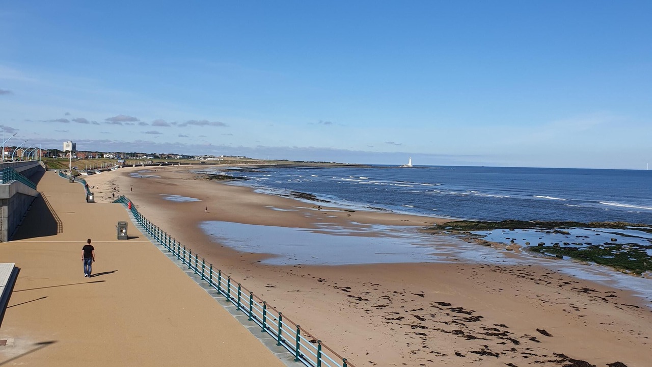 Photo of Others in Whitley Bay