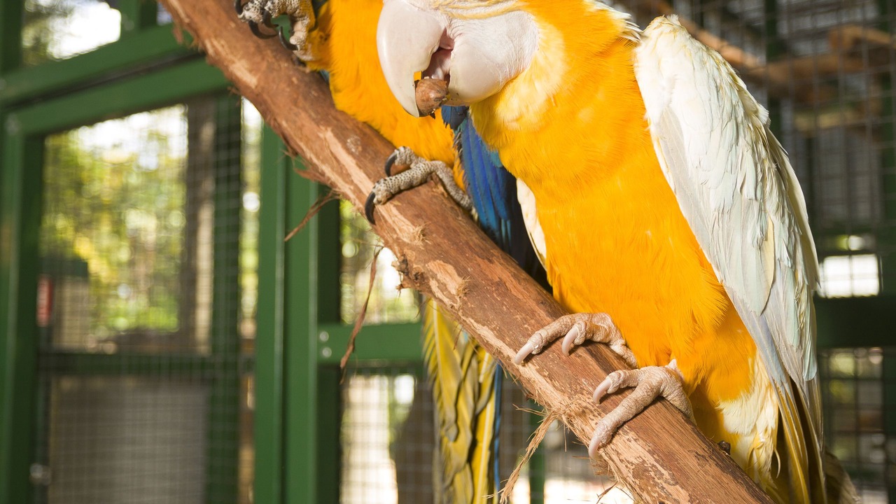 Photo of Outdoor in Ashmore