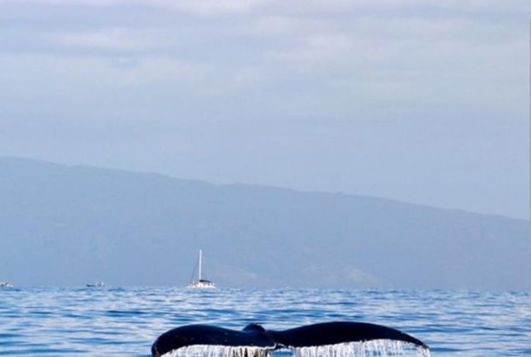 Photo of Others in Huskisson