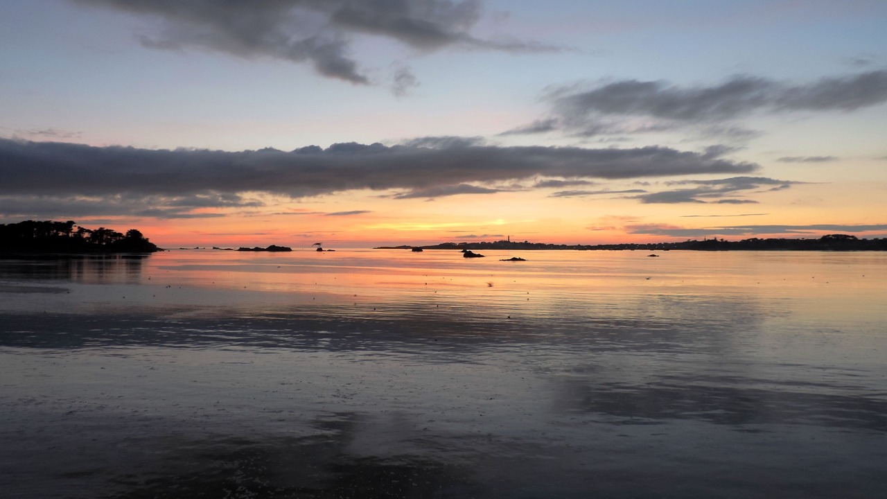 Photo of Others in Roscoff