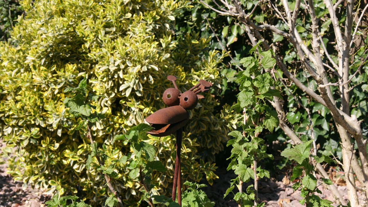 Photo of Bedroom in Arlesheim