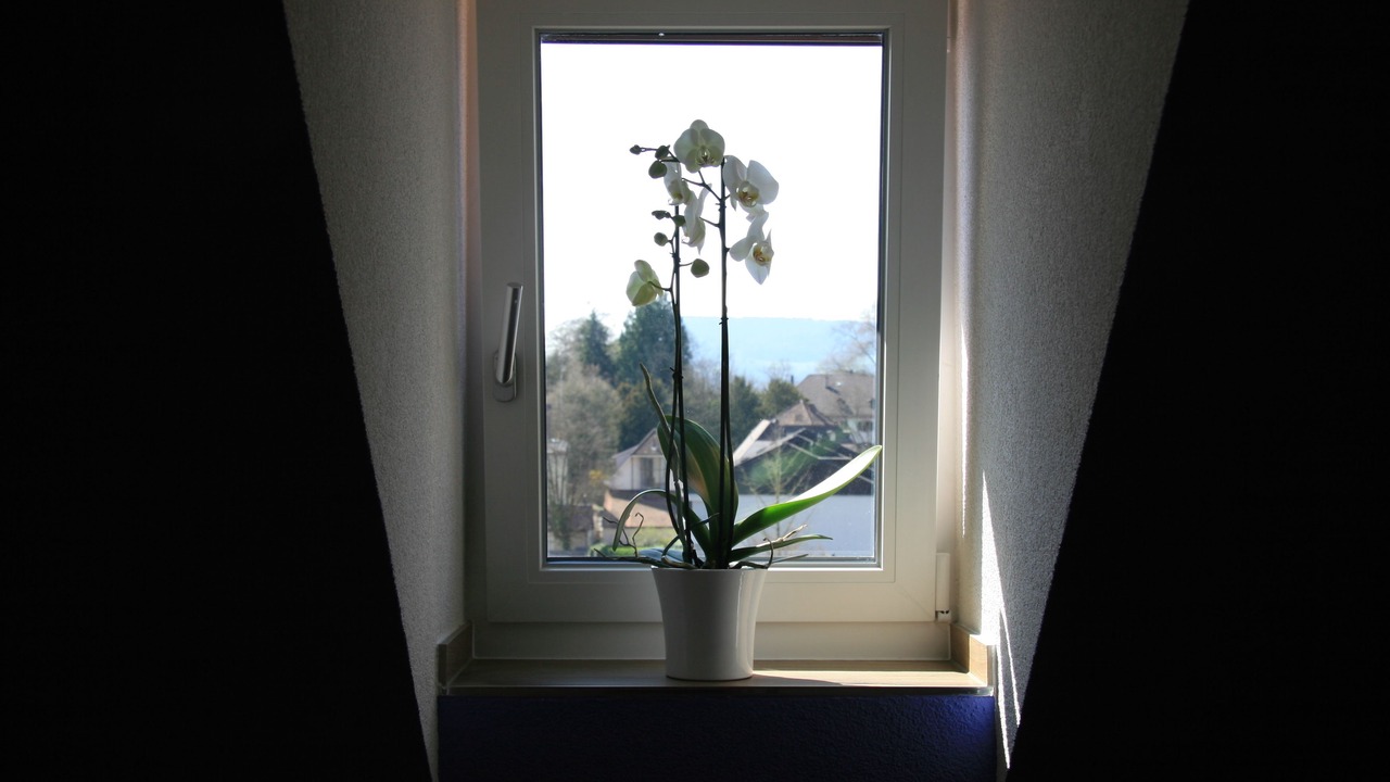 Photo of Others in Arlesheim