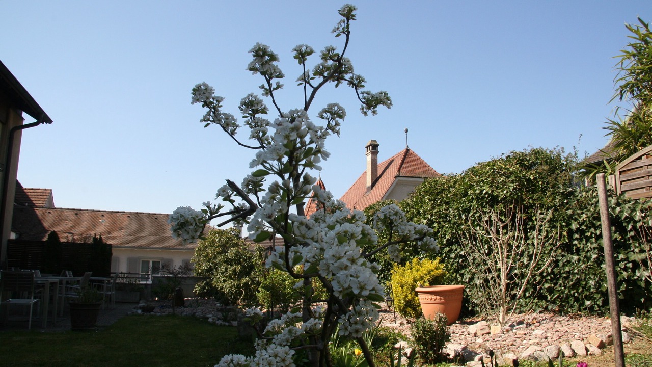 Photo of Bedroom in Arlesheim