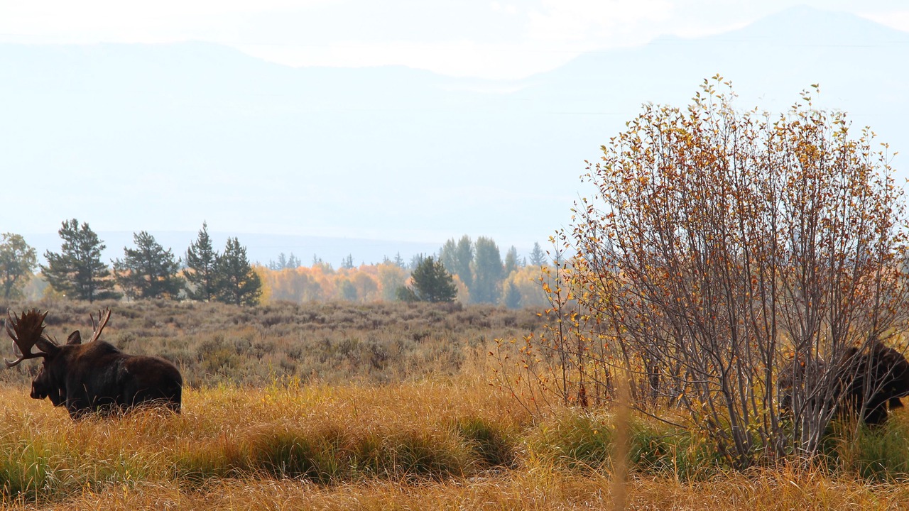 Photo of Outdoor in Teton Village