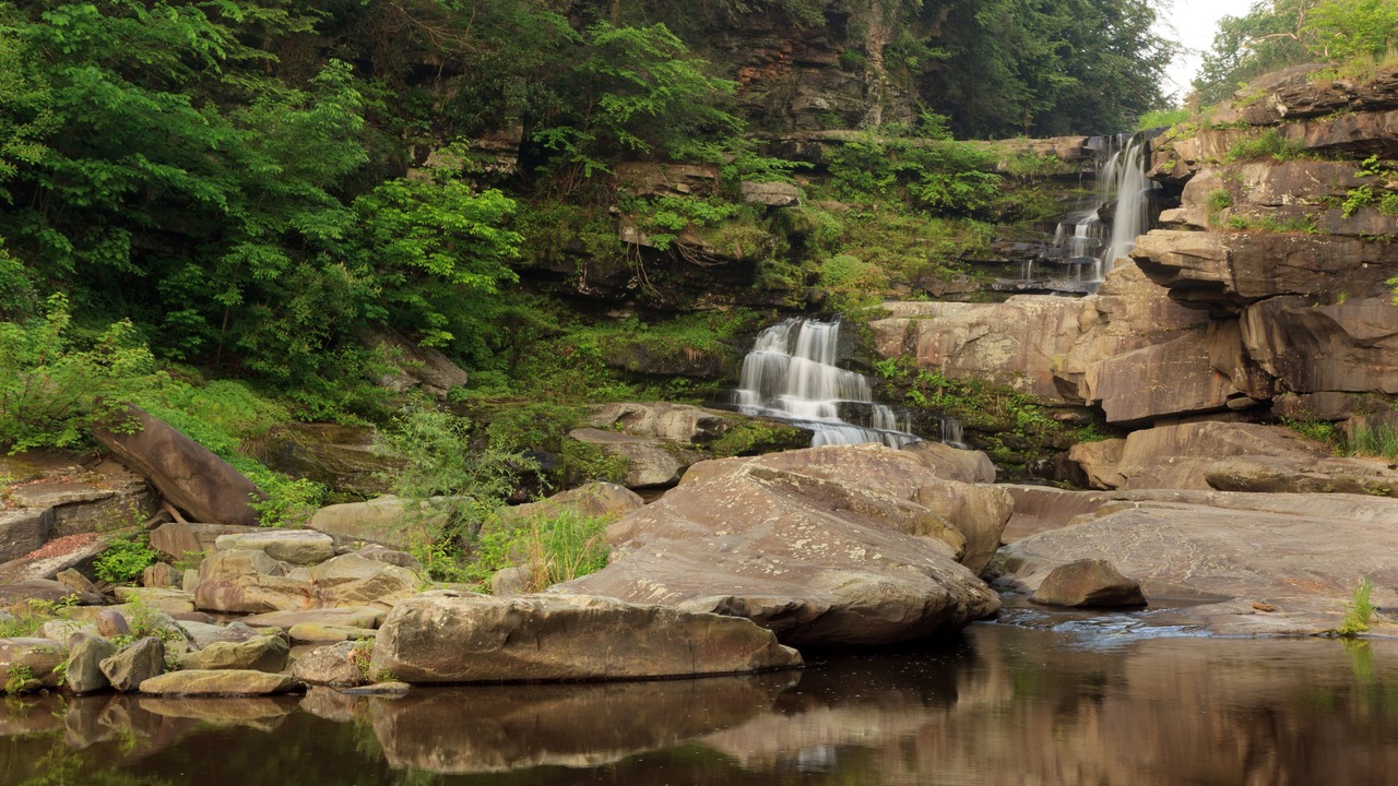 Photo of Outdoor in White Mills