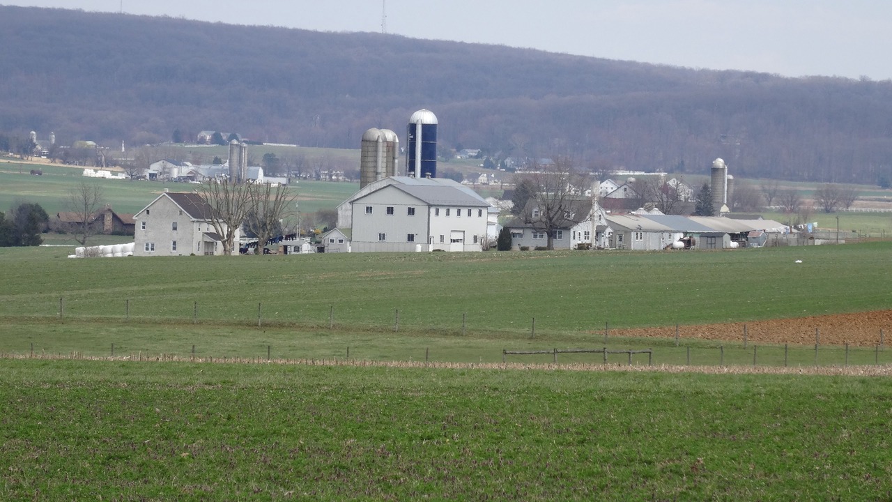 Photo of Others in Bird In Hand