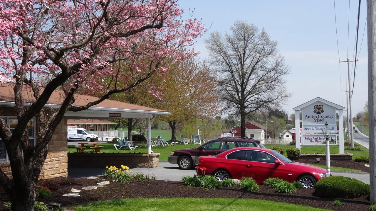 Photo of Outdoor in Bird In Hand