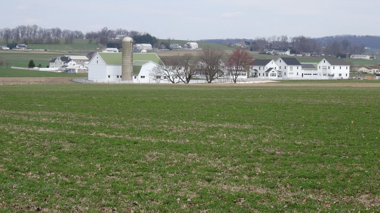 Photo of Others in Bird In Hand