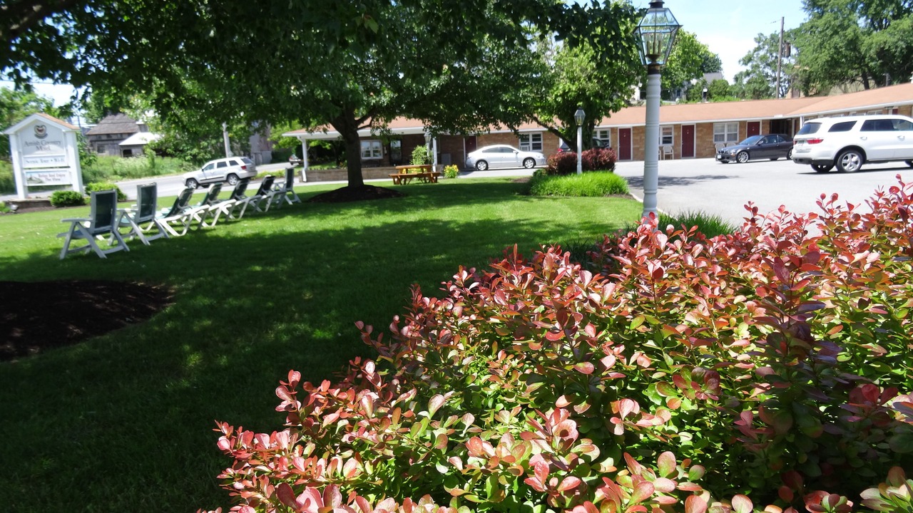 Photo of Outdoor in Bird In Hand