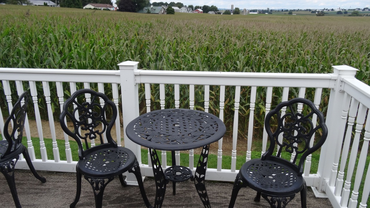 Photo of Others in Bird In Hand