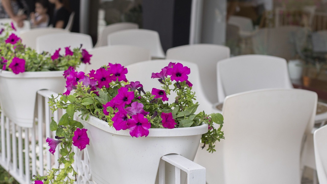 Photo of Outdoor in Platja d'Aro