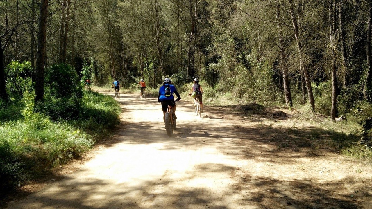 Photo of Others in Segur de Calafell