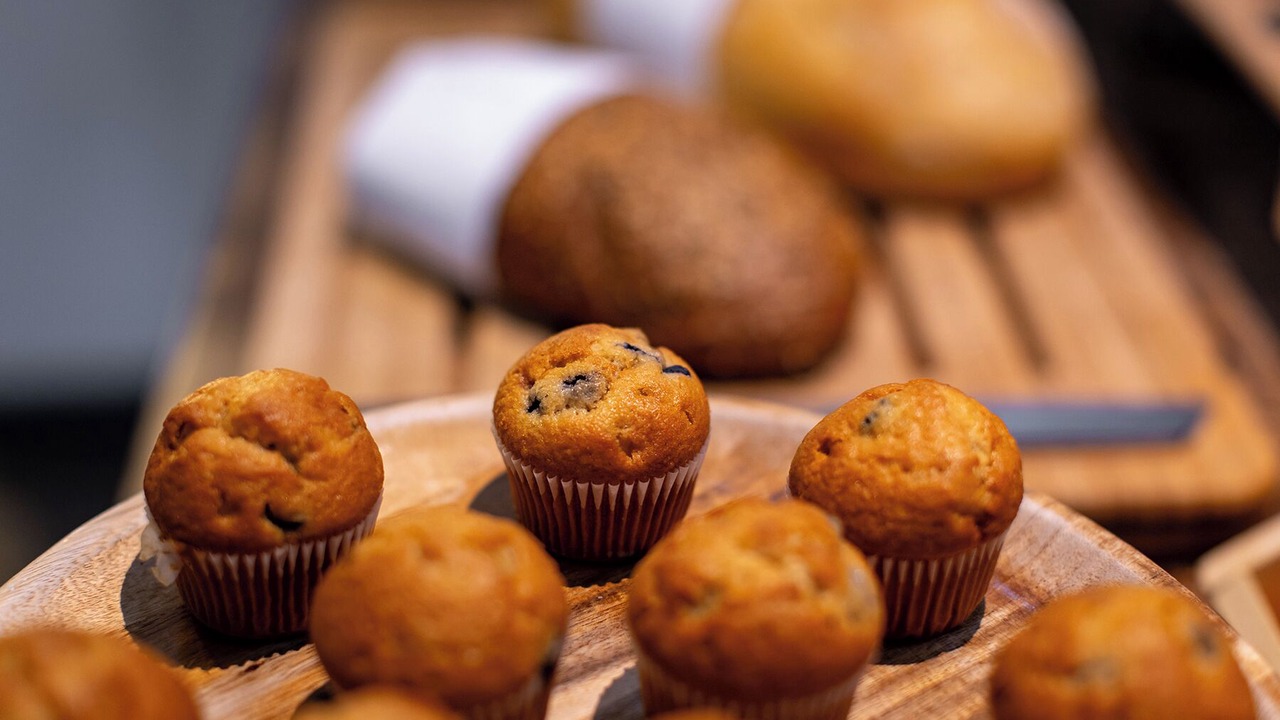 Photo of Others in Ealing