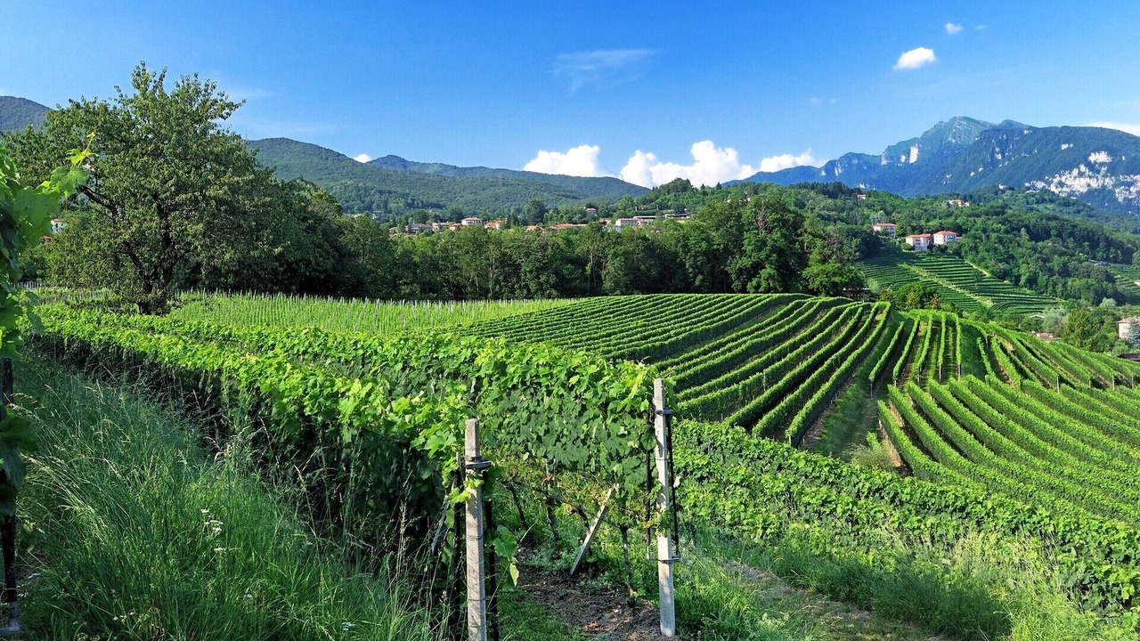 Photo of Outdoor in Vacallo