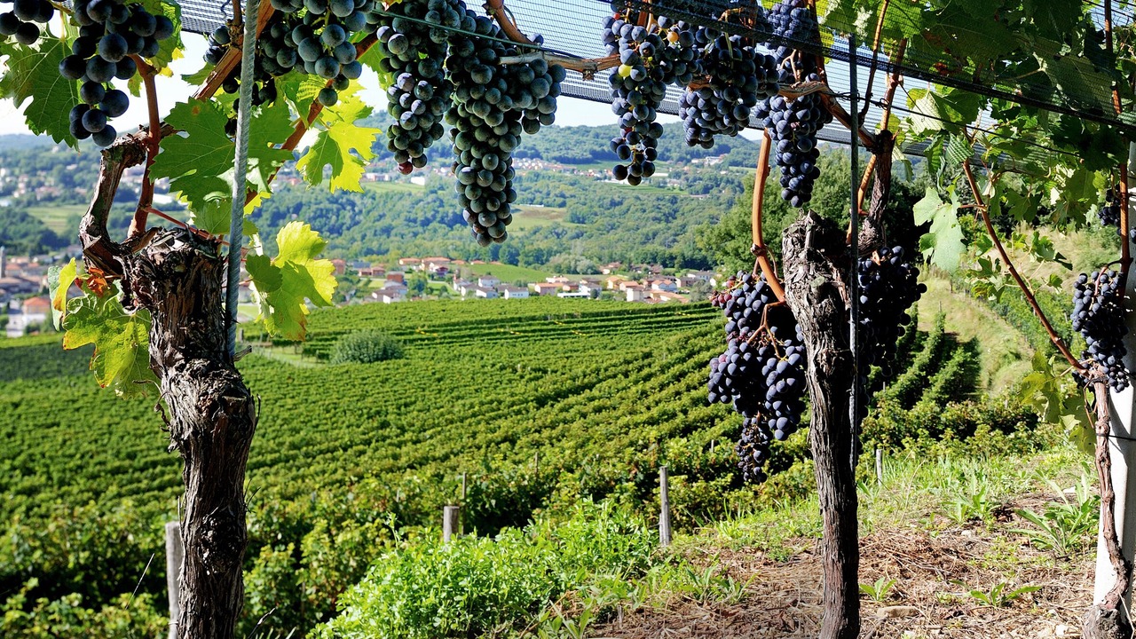 Photo of Outdoor in Vacallo