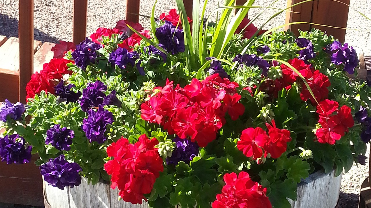 Photo of Outdoor in Devils Tower