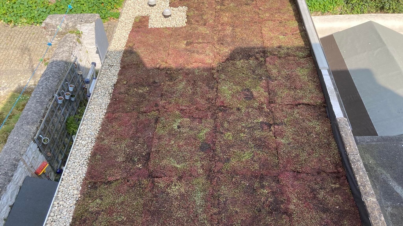 Photo of Outdoor in Plymouth