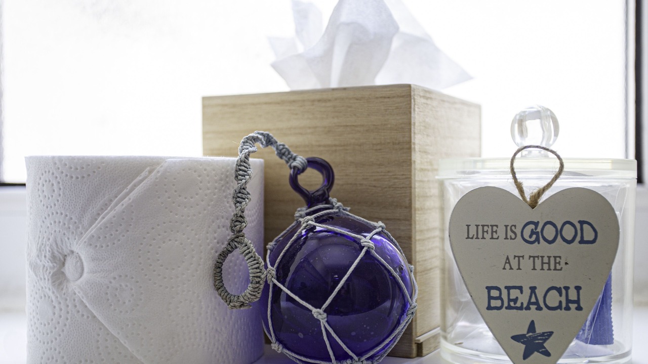 Photo of Others in Plymouth