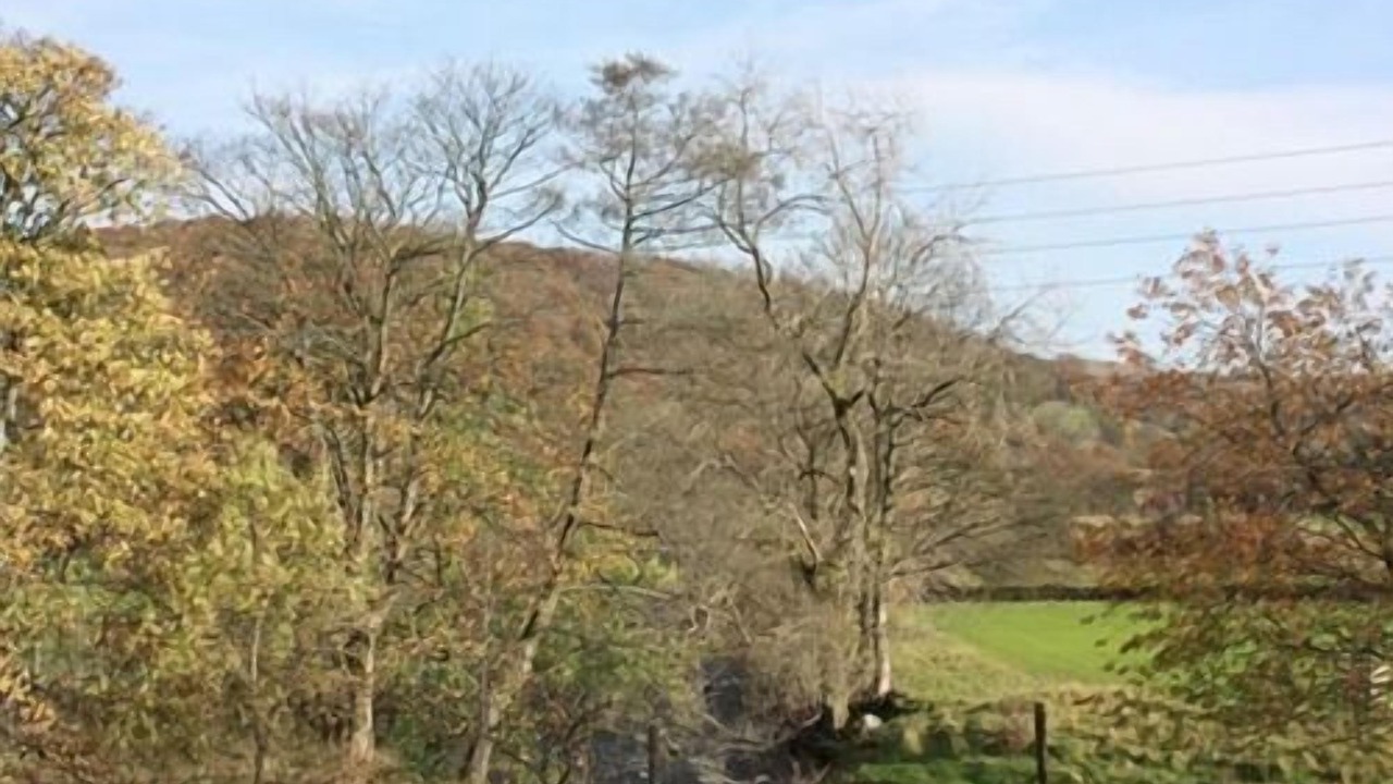 Photo of Bedroom in Staveley