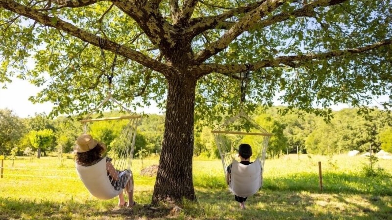 Photo of Outdoor in Chandolas