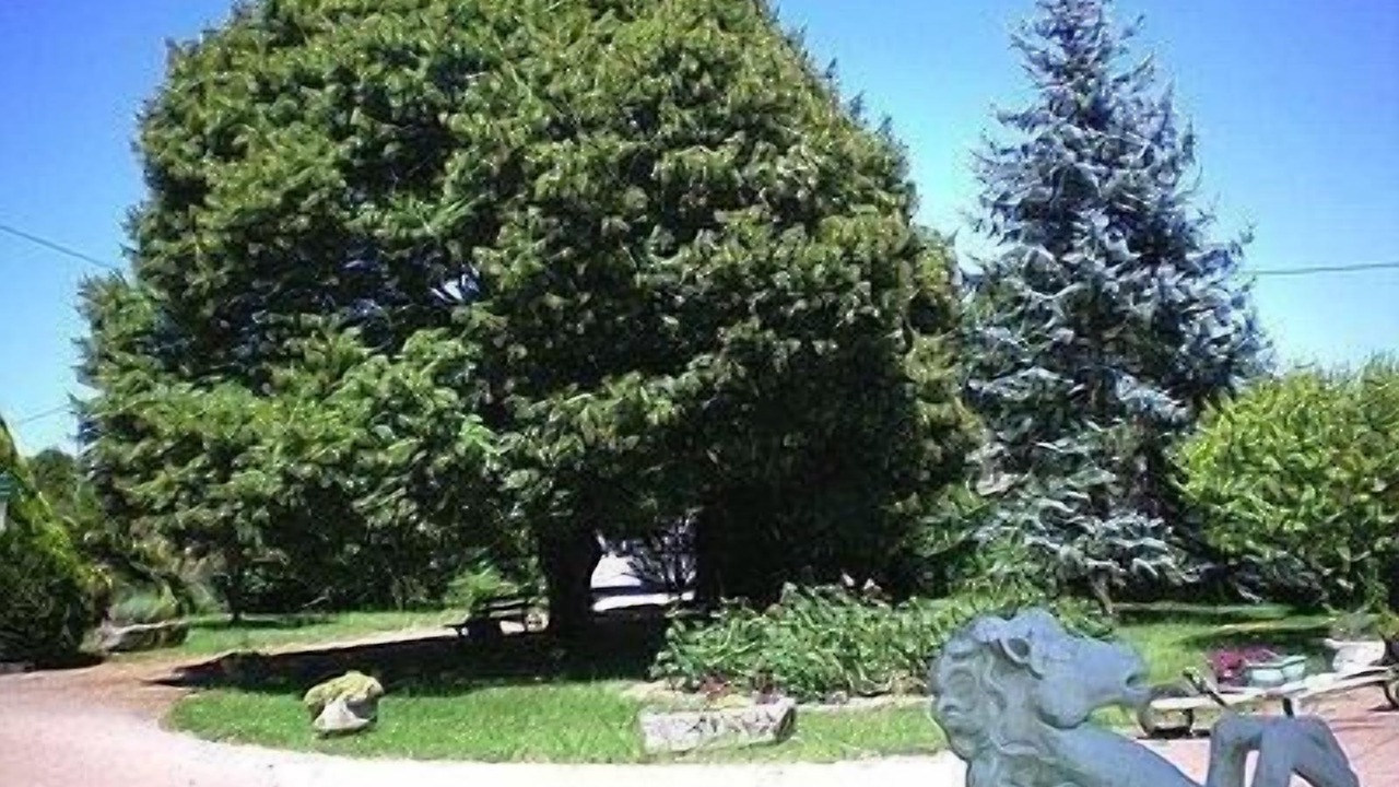 Photo of Outdoor in Bessines-sur-Gartempe