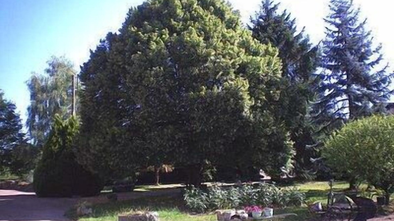 Photo of Outdoor in Bessines-sur-Gartempe