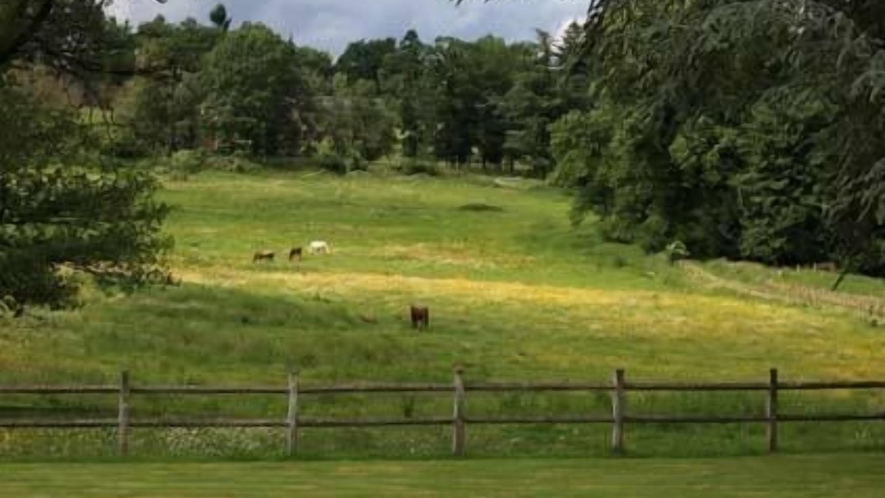 Photo of Outdoor in Noth