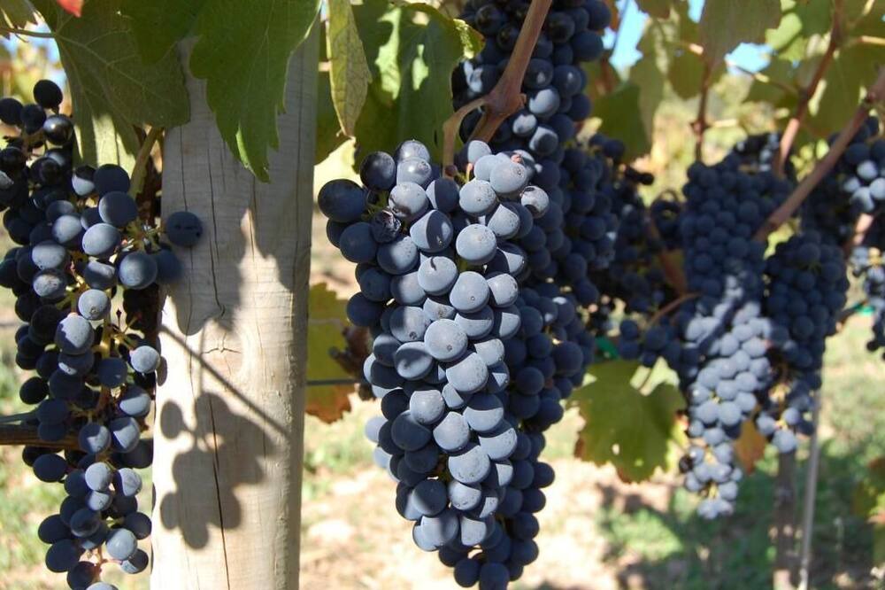 Photo of Outdoor in Siurana