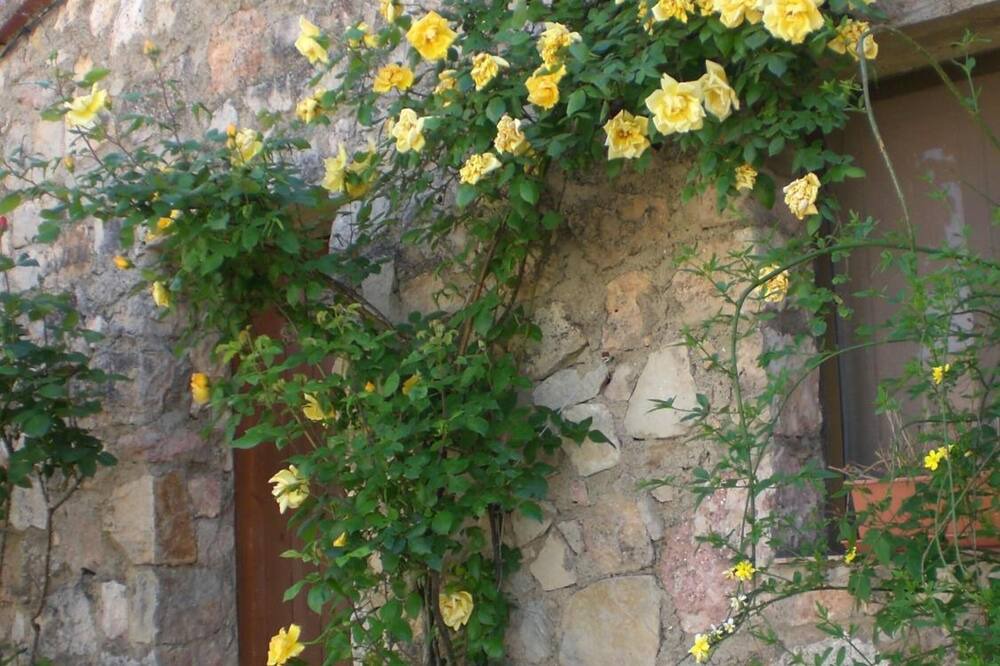 Photo of Outdoor in Siurana
