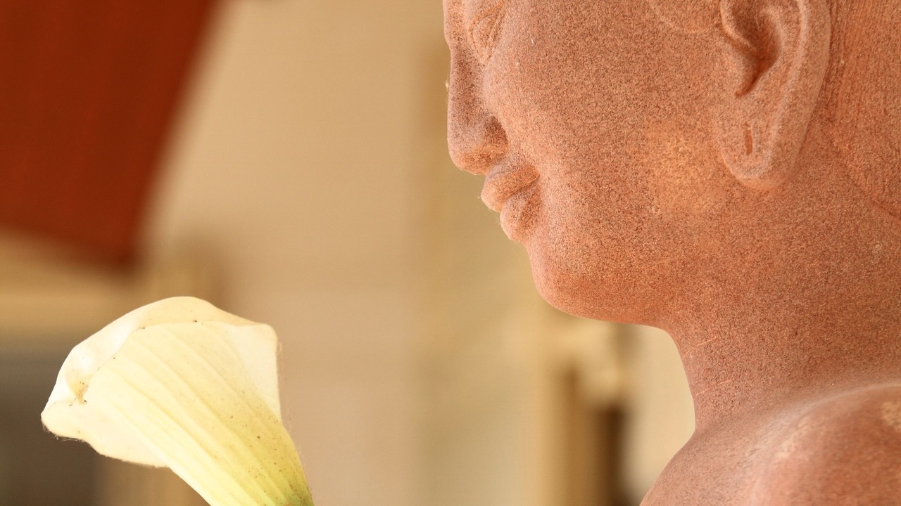 Photo of Others in Taussat