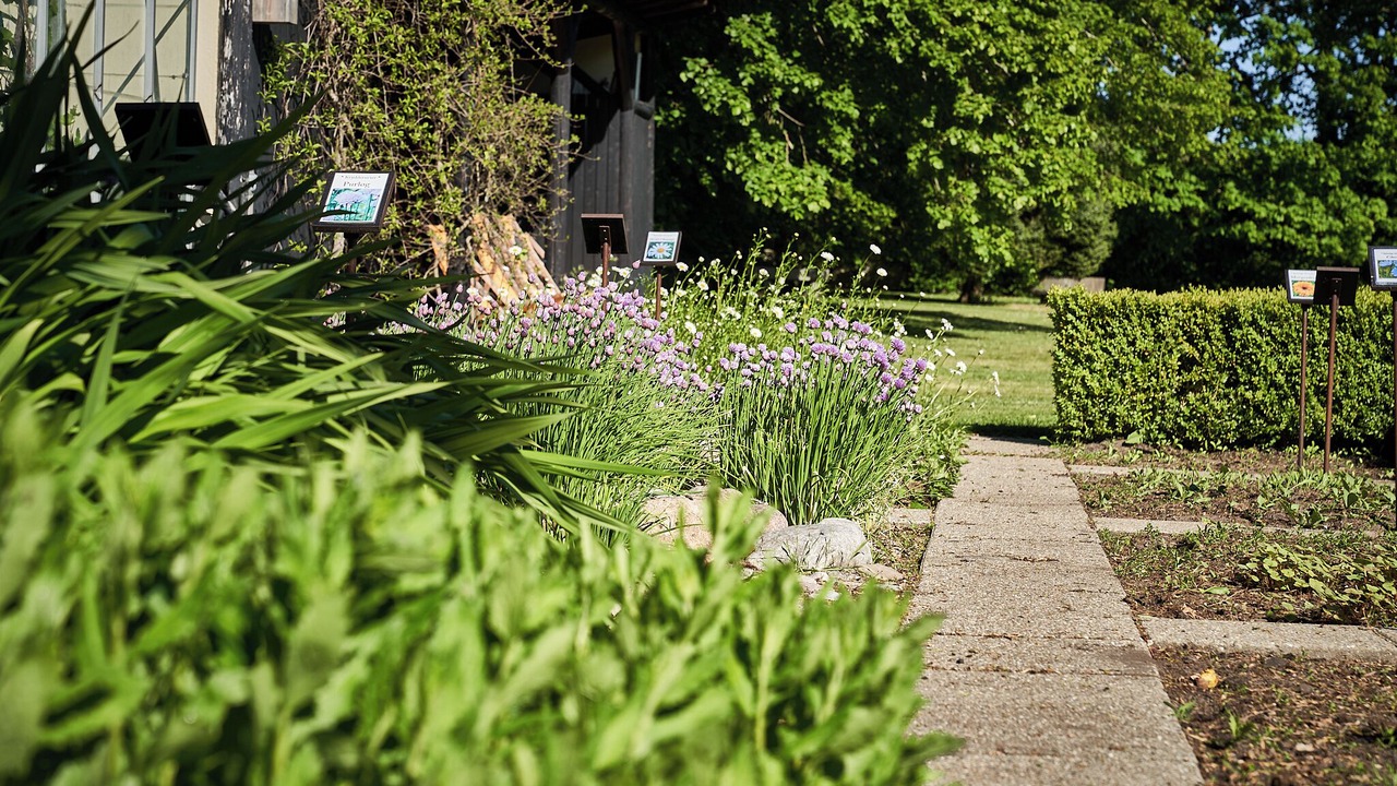 Photo of Outdoor in Silkeborg