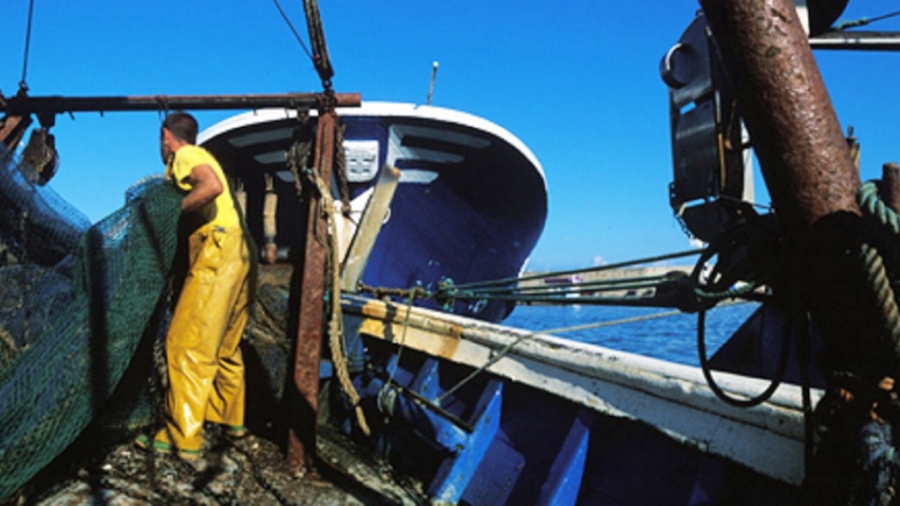 Photo of Others in L'Ametlla de Mar