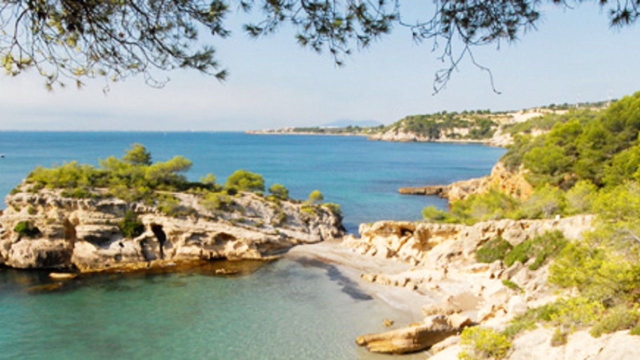 Photo of Others in L'Ametlla de Mar