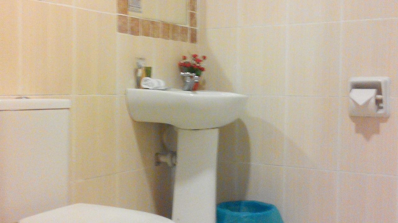 Photo of Bathroom in Kuala Selangor