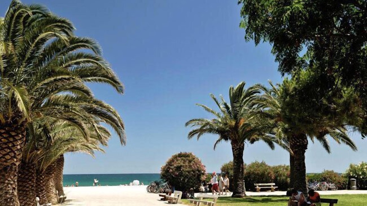 Photo of Others in Plage d'Argeles