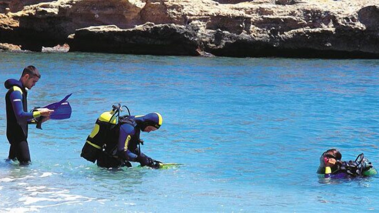 Photo of Others in Plage d'Argeles