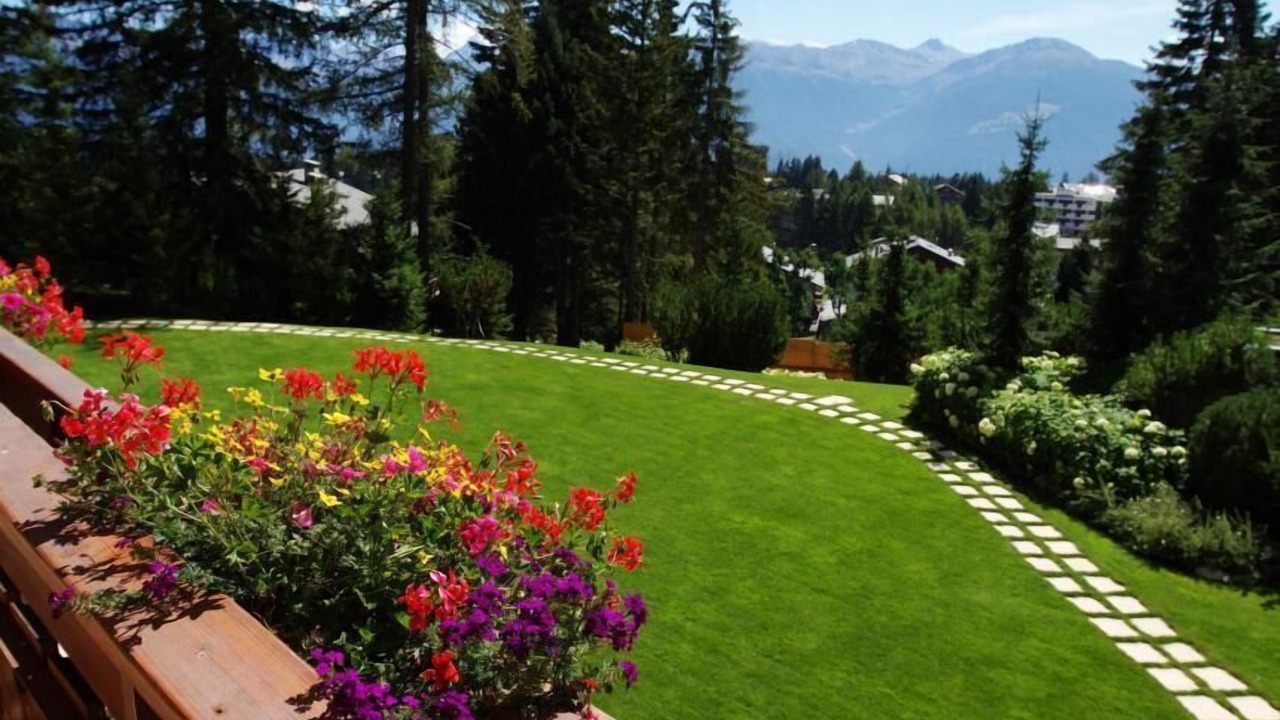 Photo of Others in Noes