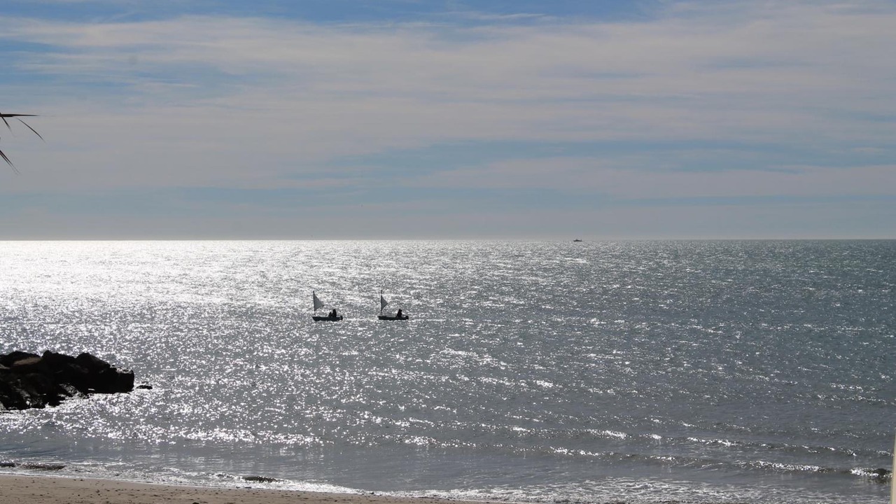 Photo of Others in Palavas-les-Flots