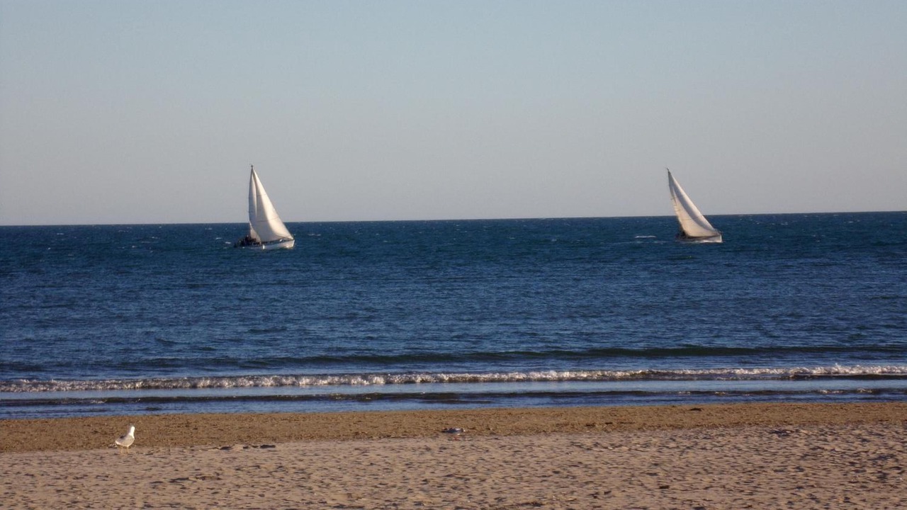 Photo of Others in Palavas-les-Flots