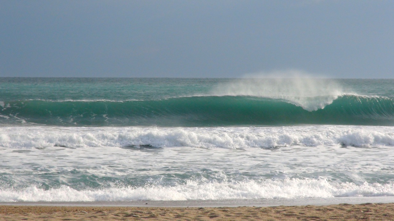 Photo of Others in Palavas-les-Flots