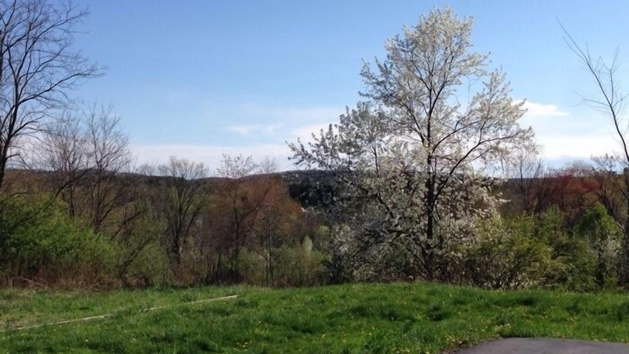 Photo of Outdoor in Lewisburg