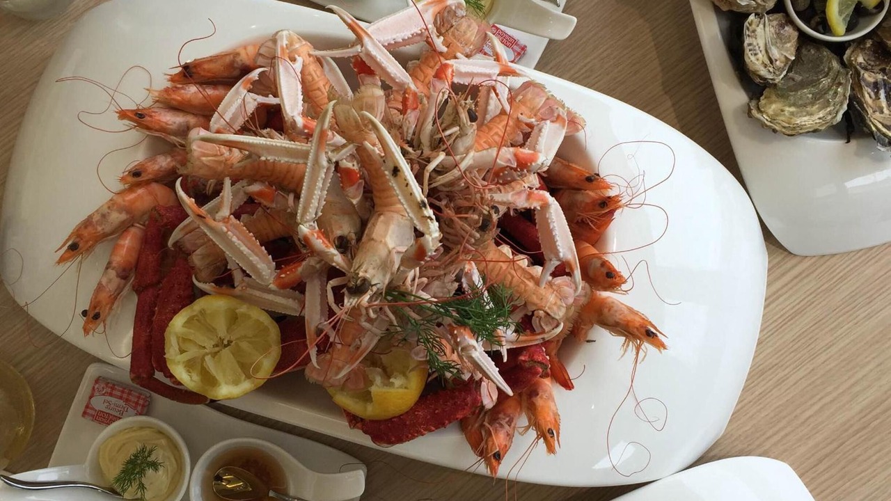 Photo of Others in Perros-Guirec